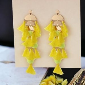Handmade Boho Statement Tassle Earrings